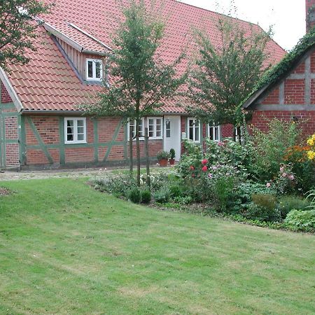 Ferienwohnung Am Elbdeich 블렉케데 외부 사진